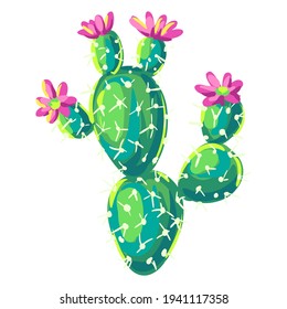 Illustration of cactus. Decorative spiky mexican cacti.