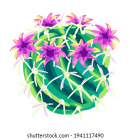 Illustration of cactus. Decorative spiky mexican cacti.