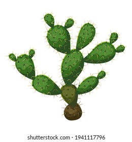 Illustration of cactus. Decorative spiky mexican cacti.