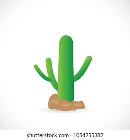 Illustration of a cactus illustrated on a white background.