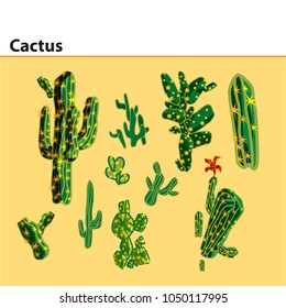 Illustration of cactus in many type and style
