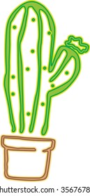 illustration of cactus on white