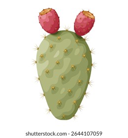 Illustration of cactus or opuntia fruit, also called prickly pear, isolated on white background.