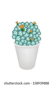 Illustration of Cactus Plant and Flowers in Flowerpot for Garden Decoration, Isolated on White Background 