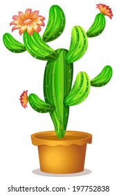 Illustration of a cactus plant with flowers on a white background