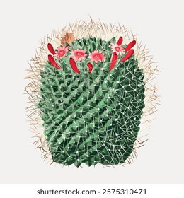 Illustration of a cactus with red flowers. The cactus features green spikes and vibrant red flowers. Cactus art with red flowers and green spikes. Vintage floral illustration isolated on white, vector