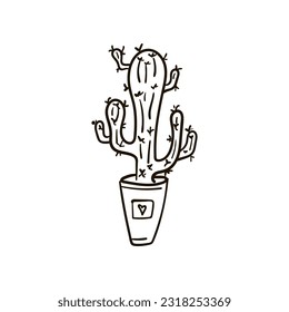Illustration of cactus, round cactus in a pot, sketch