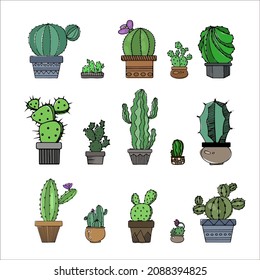 illustration of cactus and succulents potted home flowers