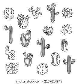 illustration cactus tree summer hand drawn vector wedding greeting card