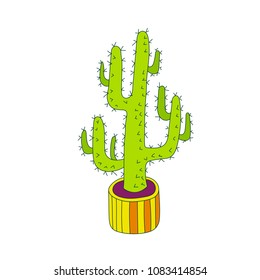 Illustration of cactus. Vector. Cacti