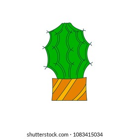 Illustration of cactus. Vector. Cacti