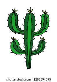 illustration of Cactus vector doodle cartoon Hand drawn