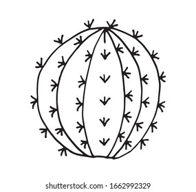 ilustración de la caricatura del doodle vectorial Cactus dibujada por la mano