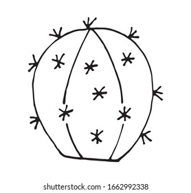 illustration of Cactus vector doodle cartoon Hand drawn