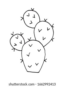 illustration of Cactus vector doodle cartoon Hand drawn