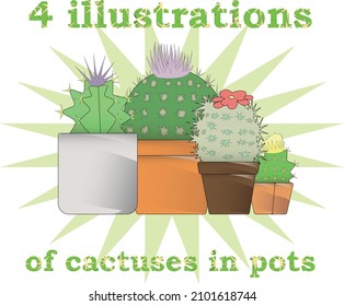 Illustration of cactuses in pots on a white background. Potted house plants, cacti, plants for home, ready to use, expanded polystyrene. For your design