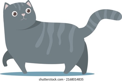 Illustration of a calico cat.