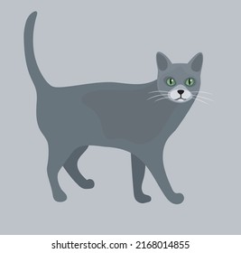 Illustration of a calico cat.