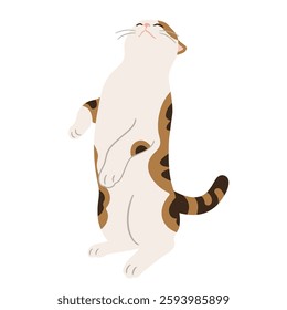 Illustration of a calico cat standing up on its hind legs