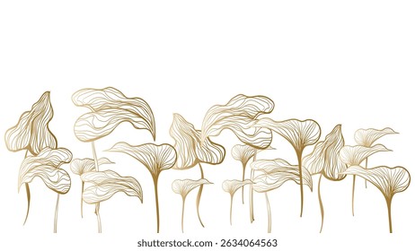 Illustration of Calla lily flowers on a white background.