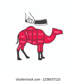 illustration of camel butcher, vector art.