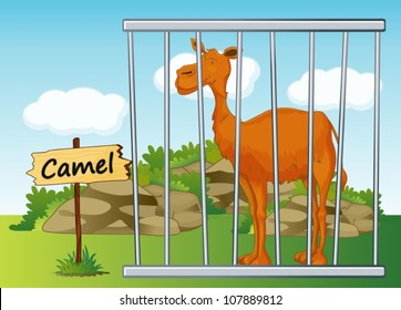 illustration of a camel in cage and wooden board