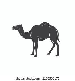 illustration of camel, desert animal, vector art.