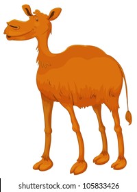 ilustración de un camello sobre fondo blanco