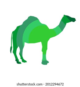 an illustration of a camel with silhouette concept