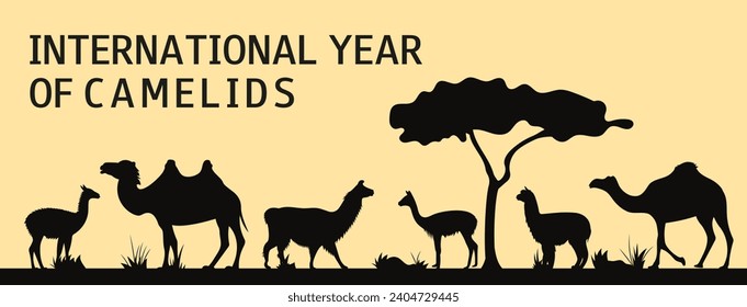 Illustration of a camelids. Bactrian camel, Alpaca, dromedary, guanaco, llama, vicuña silhouettes. International Year of Camelids. Vector illustration.