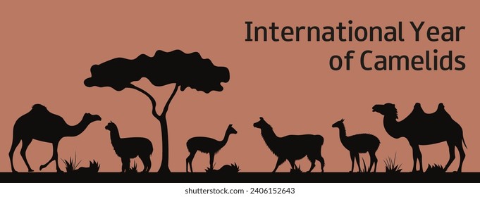 Illustration of a camelids. Bactrian camel, Alpaca, dromedary, guanaco, llama, vicuña silhouettes. International Year of Camelids. Vector illustration.