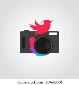 illustration of the camera and the birds