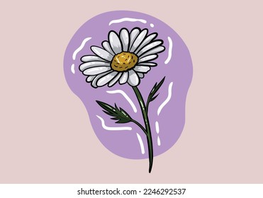 illustration of camomile flower. Hand drawn daisy illustration of a cartoon flower. Isolated on background