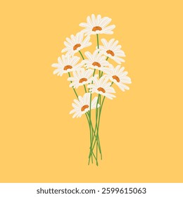 Illustration of camomile flowers set against a yellow background, evoking spring and summer