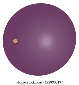 Illustration of the camucamu