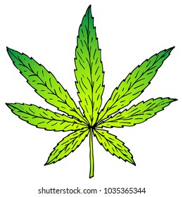 Illustration of cannabis or marijuana leaf. Suitable for use by cannabis producers in the design of packaging, advertising, posters