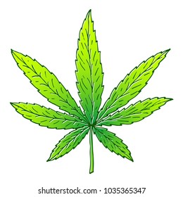 Illustration of cannabis or marijuana leaf. Suitable for use by cannabis producers in the design of packaging, advertising, posters