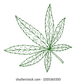 Illustration of cannabis or marijuana leaf. Suitable for use by cannabis producers in the design of packaging, advertising, posters.