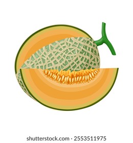 Illustration of cantaloupe, also known as a muskmelon, rockmelon, sweet melon or spanspek, isolated on white background.