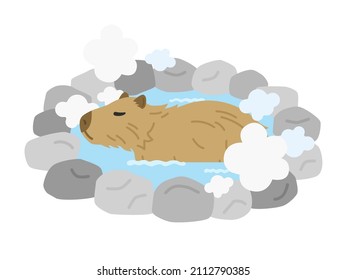 An illustration of a capybara entering a hot spring.