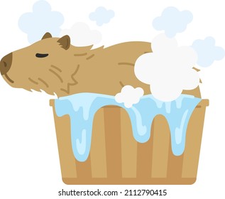 An illustration of a capybara entering a hot spring.