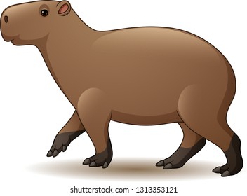 Illustration of Capybara isolated on white background