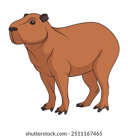 Сolor illustration with capybara. Isolated vector object on white background.