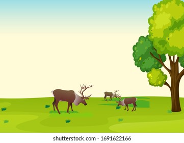 Illustration of Caribou in the national park