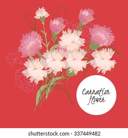illustration carnation flower spring greeting card summer composition garden beautiful delicate
