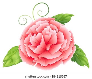 Illustration of a carnation pink flower with leaves on a white background