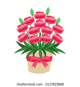 Illustration of carnation potted plant