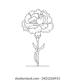 La ilusión de las flores de los claveles