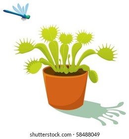 An illustration of a carnivorous plant and a dragonfly.