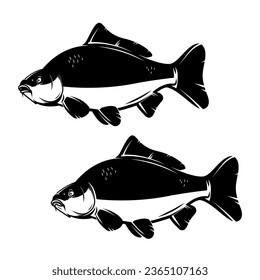 Ilustración del pez carpa al estilo monocromo. Peces de carpa aislados en fondo blanco